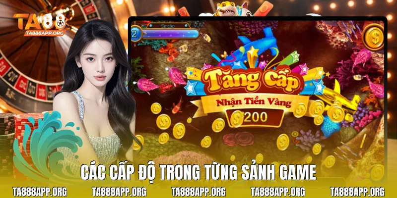 Các cấp độ trong từng sảnh game
