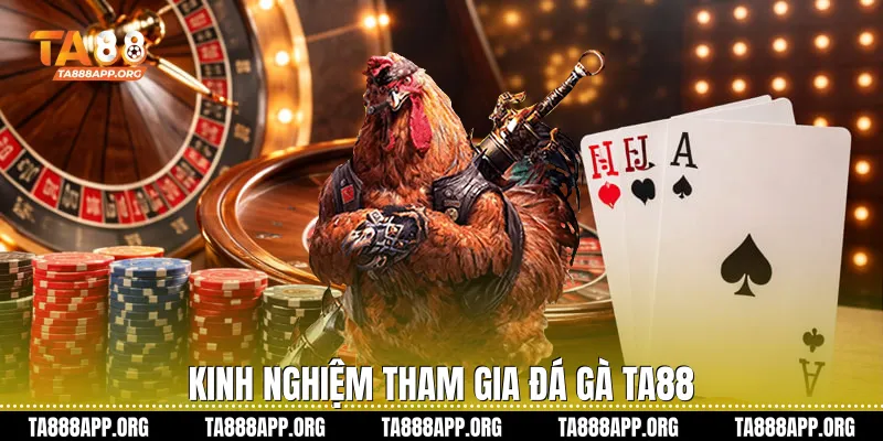 Kinh nghiệm tham gia đá gà ta88