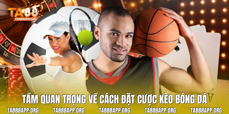 Tầm quan trọng về cách đặt cược kèo bóng đá